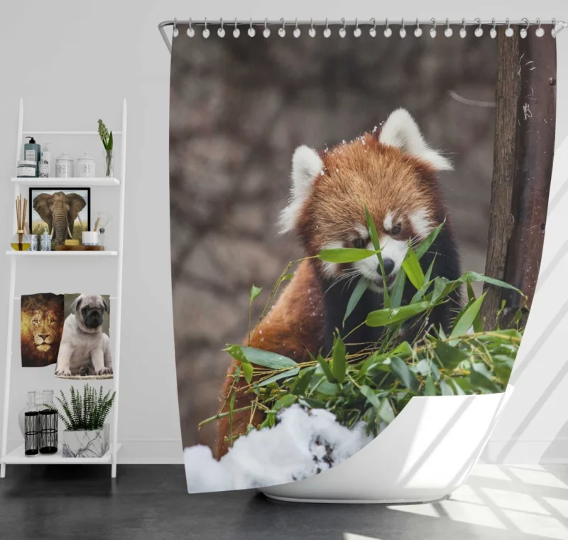 Urban Red Panda Chicago Zoo Wonders Shower Curtain