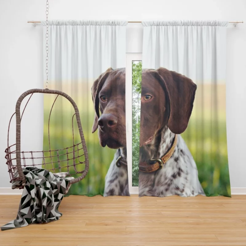 Versatile Pointer German Shorthaired Charm Curtain