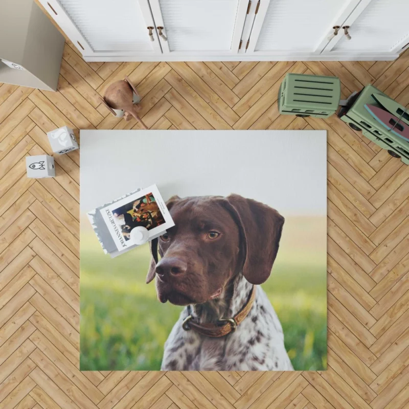 Versatile Pointer German Shorthaired Charm Rug