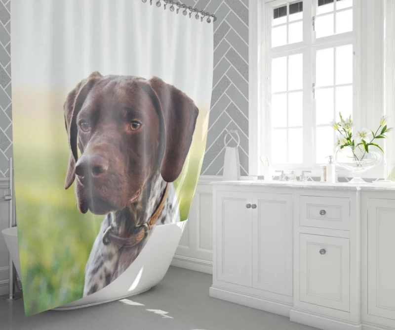 Versatile Pointer German Shorthaired Charm Shower Curtain 1