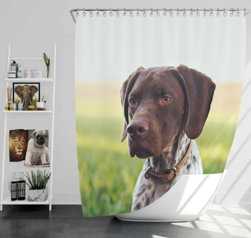 Versatile Pointer German Shorthaired Charm Shower Curtain