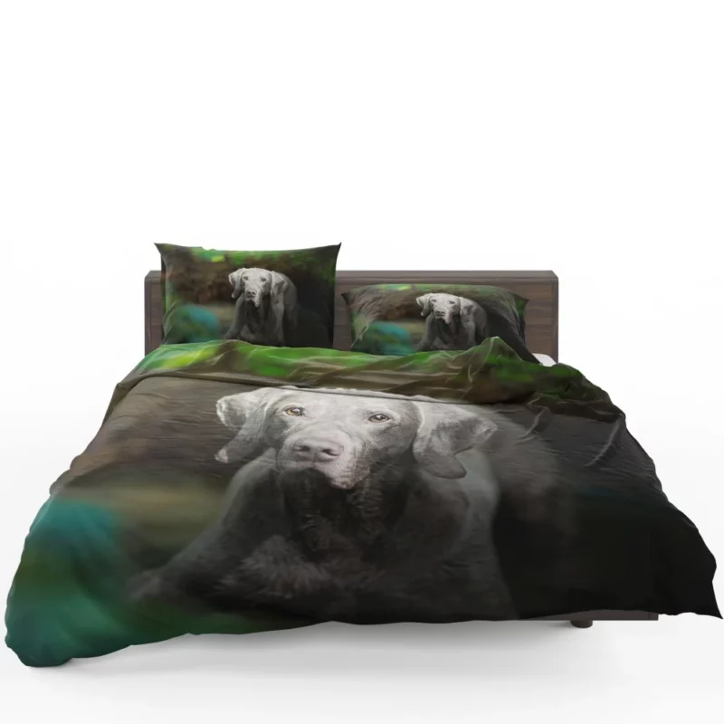 Weimaraner Muzzle in Focus Canine Persona Bedding Set