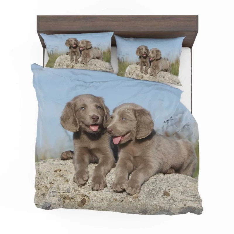 Weimaraner Puppy Eager Companion Bedding Set 1