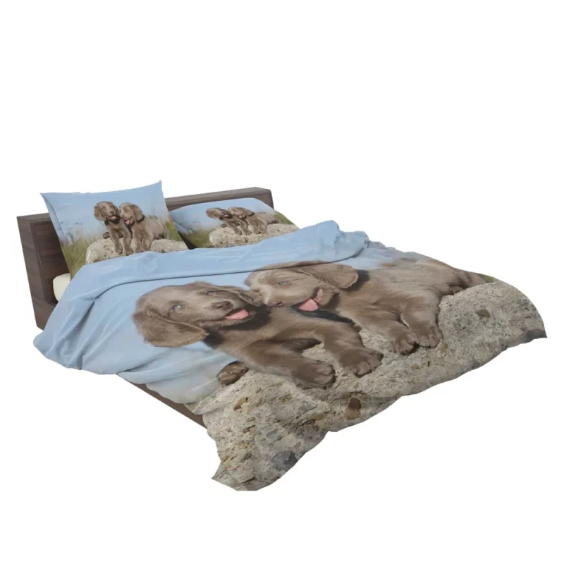 Weimaraner Puppy Eager Companion Bedding Set 2