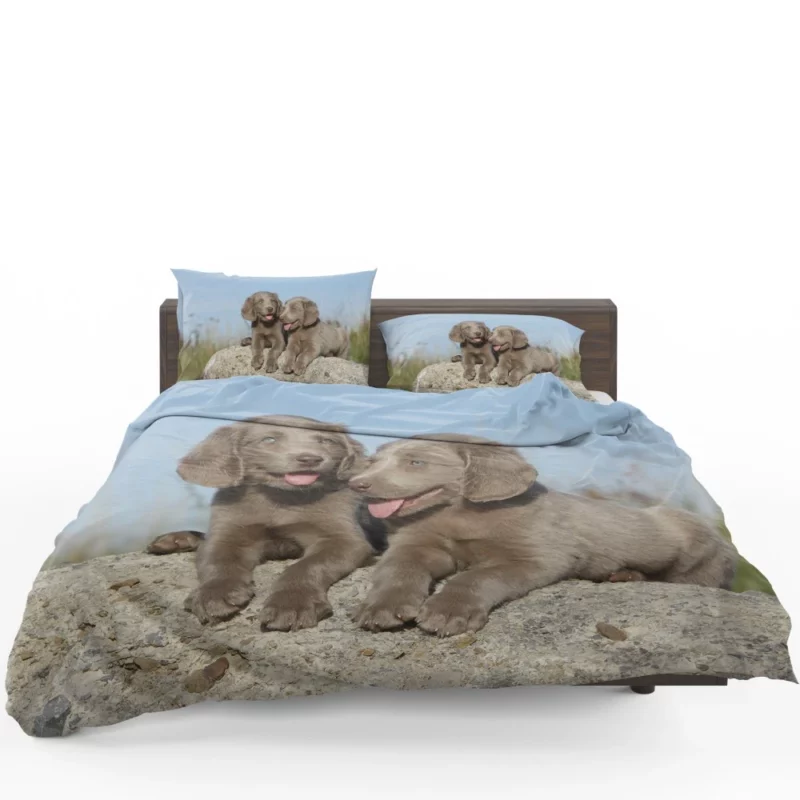 Weimaraner Puppy Eager Companion Bedding Set