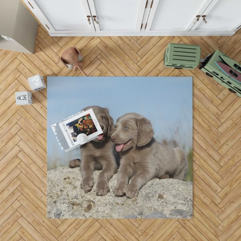 Weimaraner Puppy Eager Companion Rug