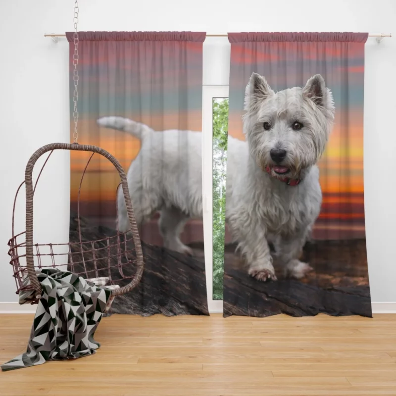 West Highland Terrier Terrier Charm Curtain