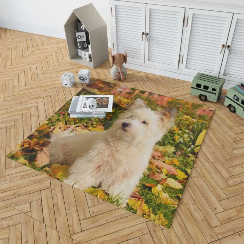 West Highland White Terrier Playful Spirit Rug 1