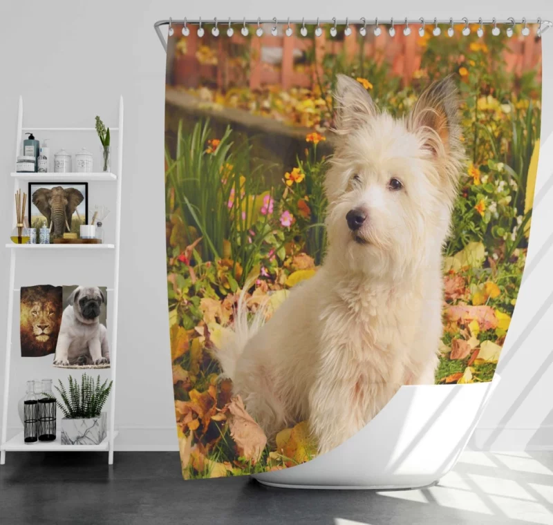 West Highland White Terrier Playful Spirit Shower Curtain