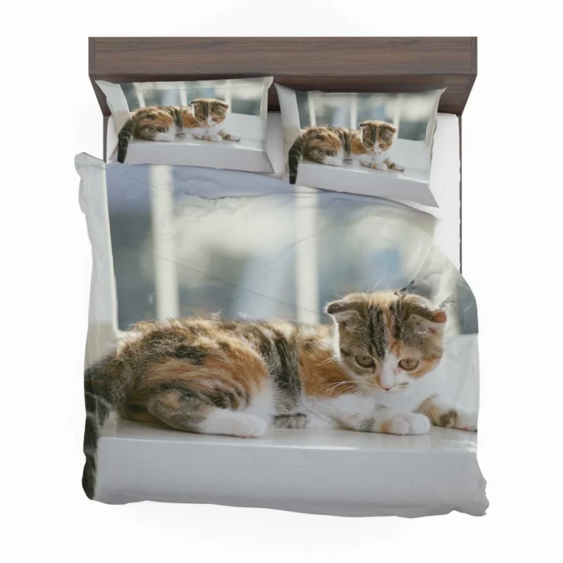 Whisker Charm Cat Playful Antics Bedding Set 1