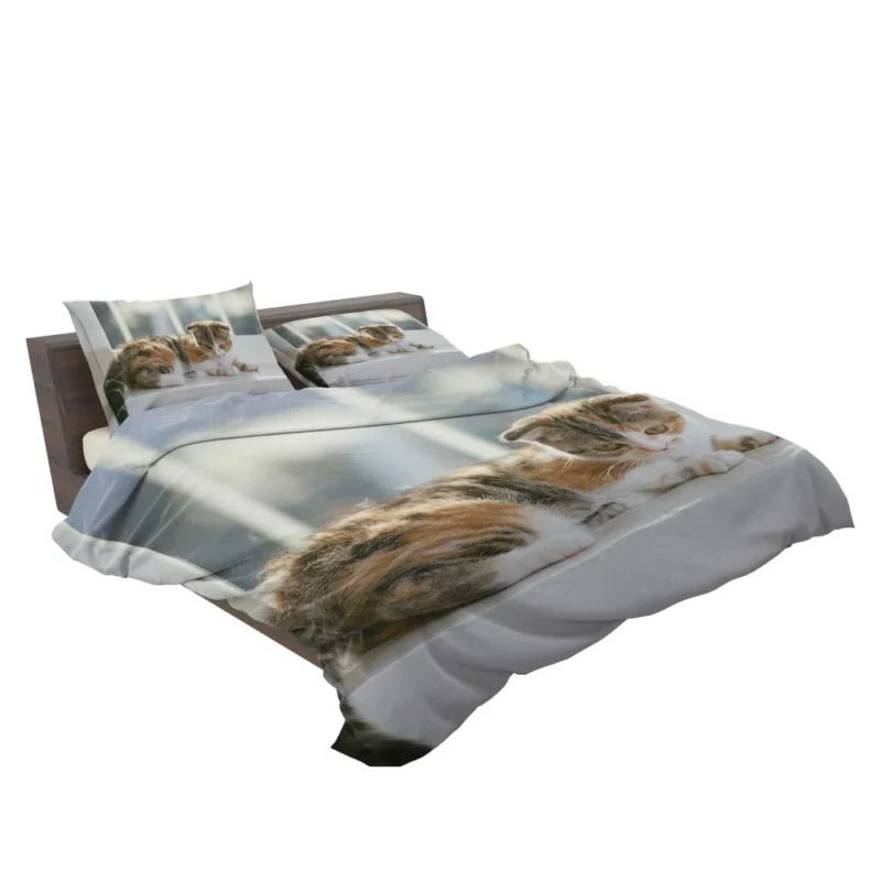 Whisker Charm Cat Playful Antics Bedding Set 2