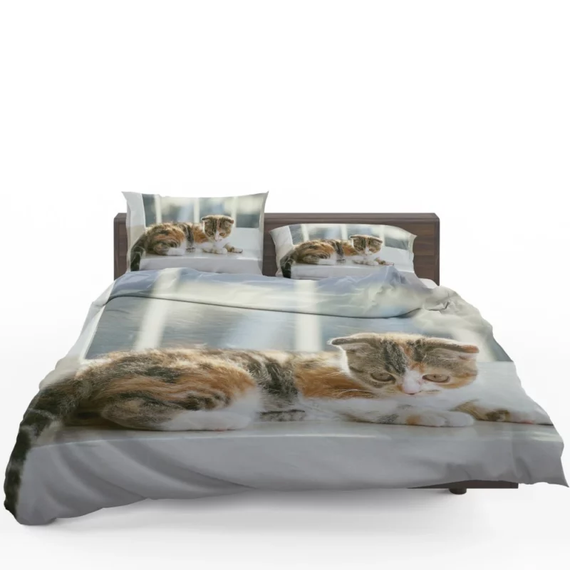 Whisker Charm Cat Playful Antics Bedding Set