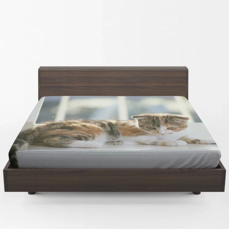 Whisker Charm Cat Playful Antics Fitted Sheet