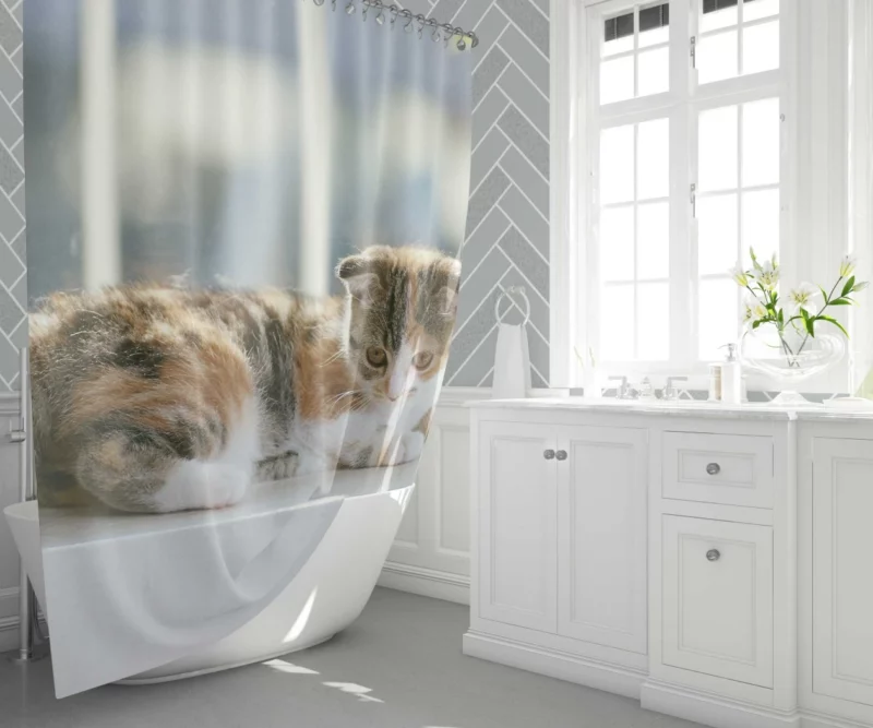 Whisker Charm Cat Playful Antics Shower Curtain 1