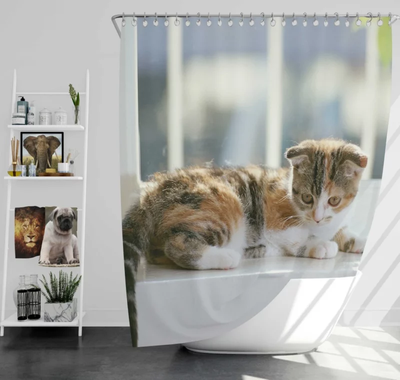 Whisker Charm Cat Playful Antics Shower Curtain