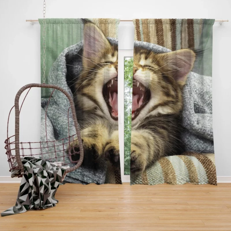 Whisker Charm Curious Cat Playfulness Curtain