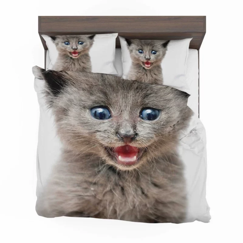 Whisker Curiosity Cat Playful Stares Bedding Set 1