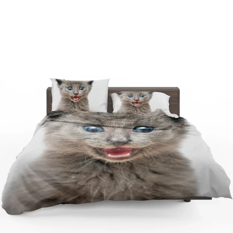 Whisker Curiosity Cat Playful Stares Bedding Set