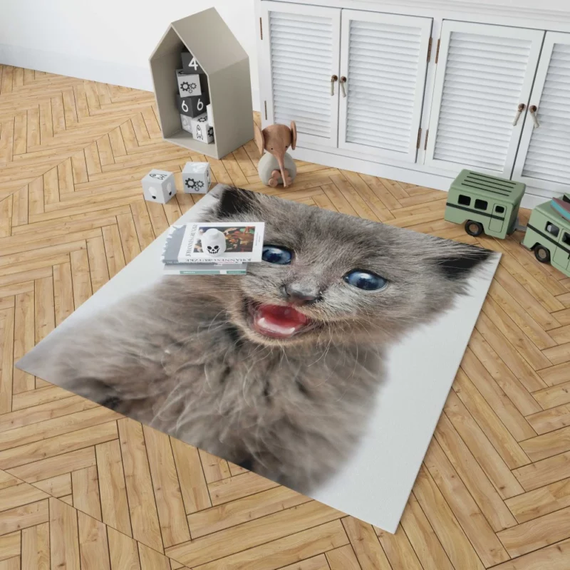 Whisker Curiosity Cat Playful Stares Rug 1