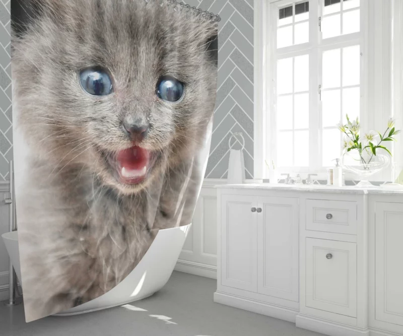 Whisker Curiosity Cat Playful Stares Shower Curtain 1