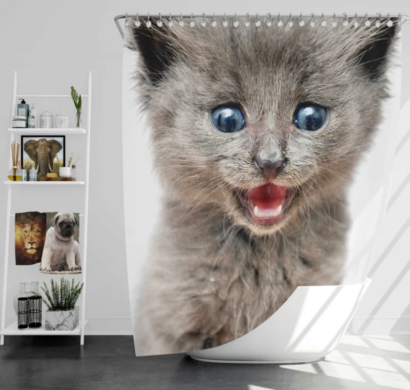 Whisker Curiosity Cat Playful Stares Shower Curtain