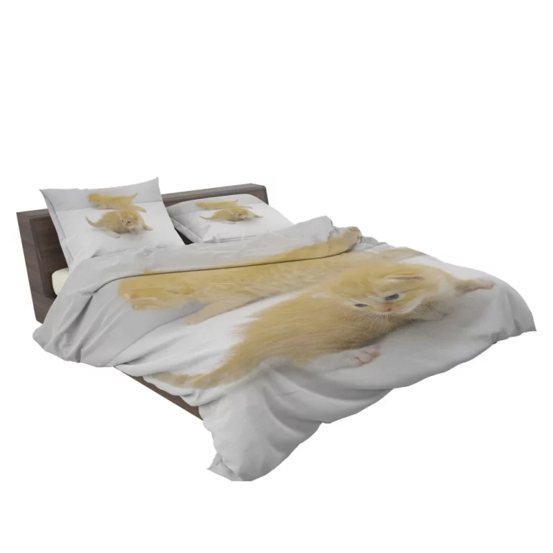 Whisker Curiosity Curious Cat Gaze Bedding Set 2