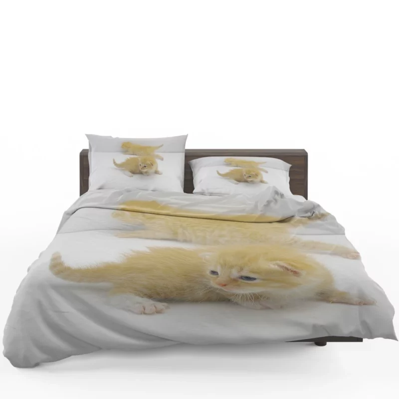 Whisker Curiosity Curious Cat Gaze Bedding Set