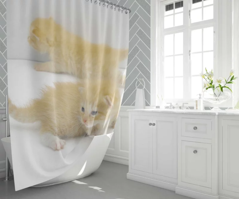 Whisker Curiosity Curious Cat Gaze Shower Curtain 1