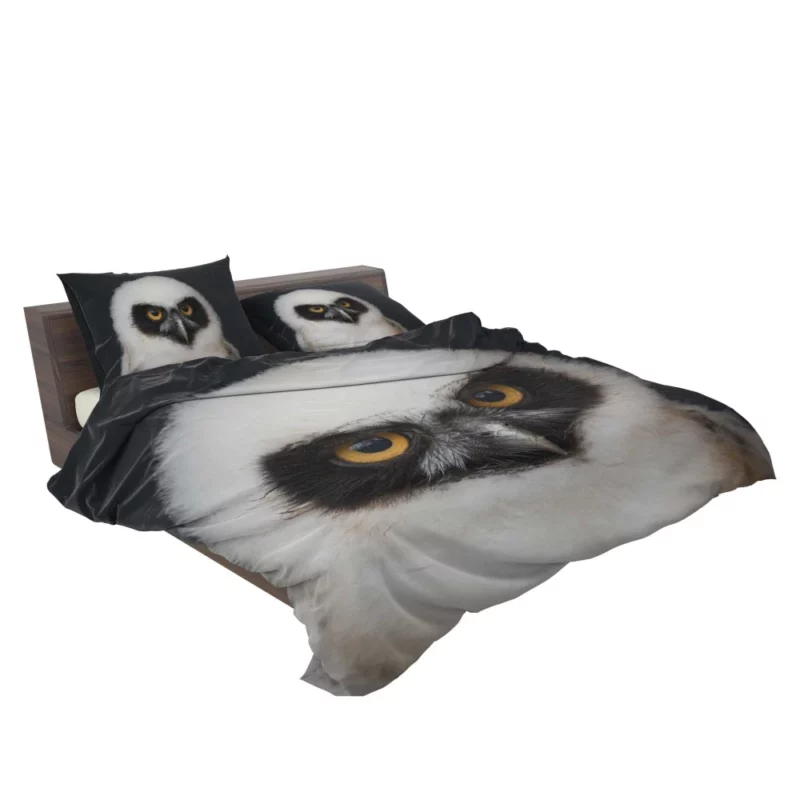 Whisker Playfulness Curious Cat Charm Bedding Set 2