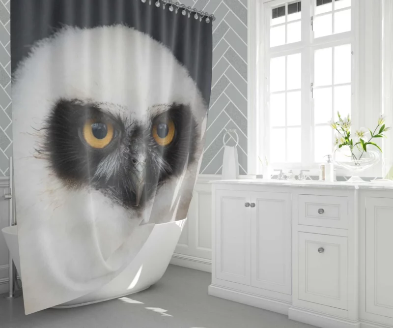 Whisker Playfulness Curious Cat Charm Shower Curtain 1