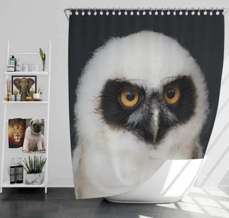 Whisker Playfulness Curious Cat Charm Shower Curtain