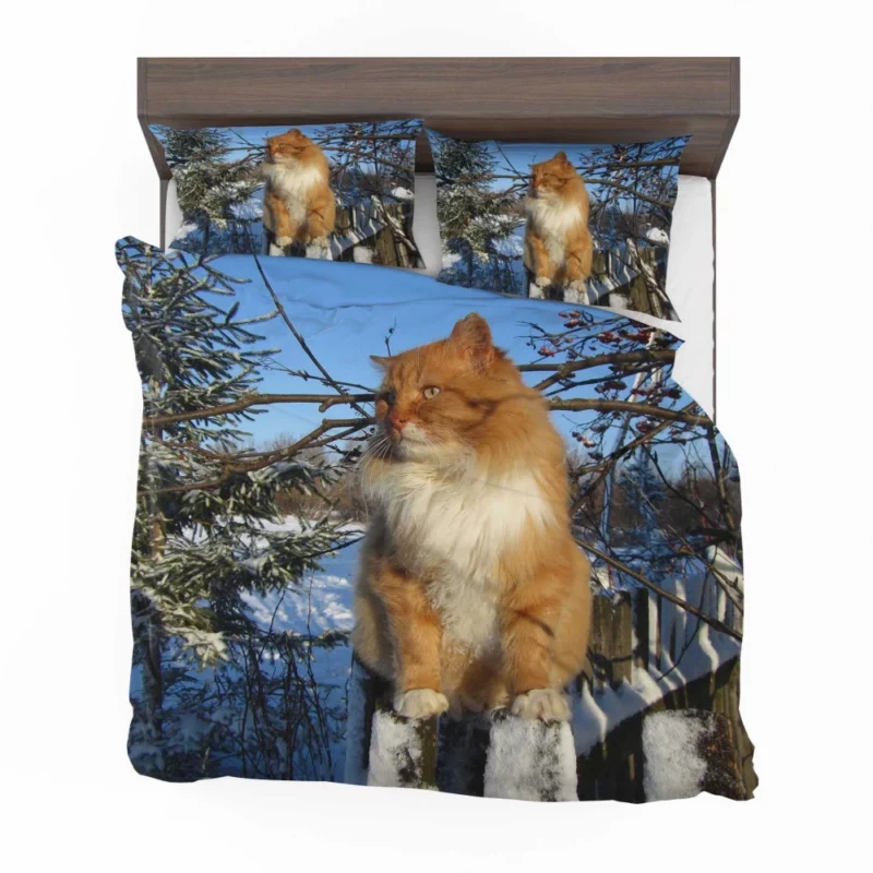 Whisker Wonder Curious Cat Gaze Bedding Set 1