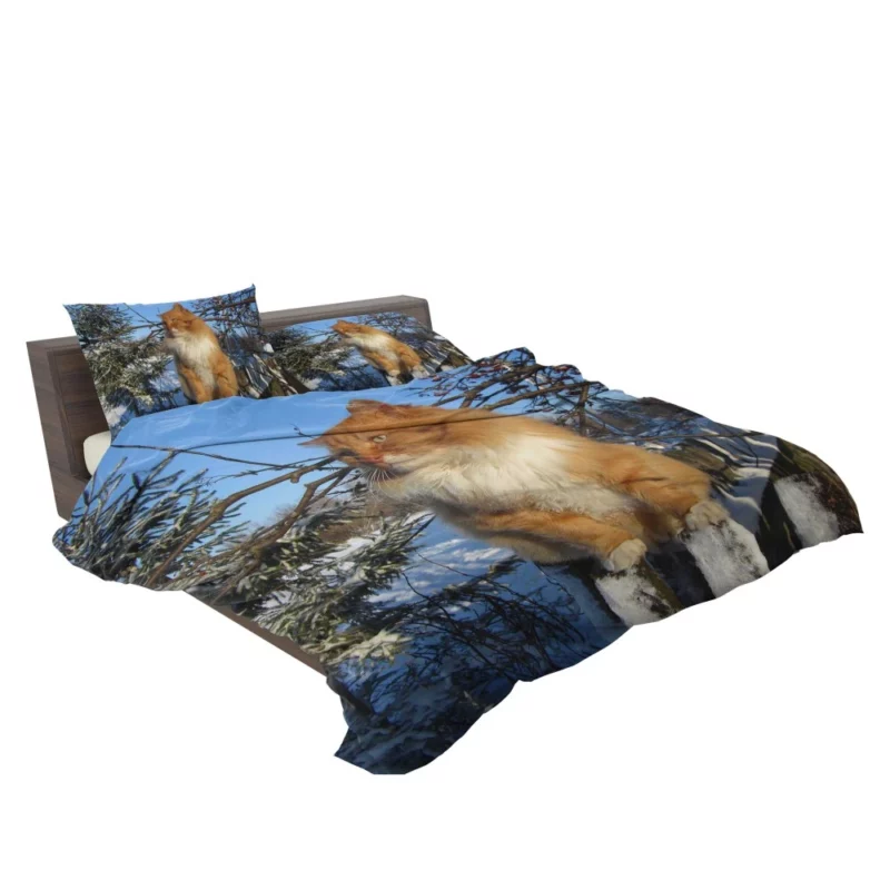 Whisker Wonder Curious Cat Gaze Bedding Set 2