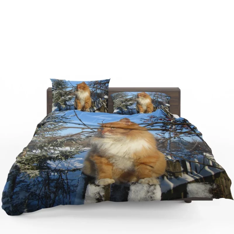 Whisker Wonder Curious Cat Gaze Bedding Set