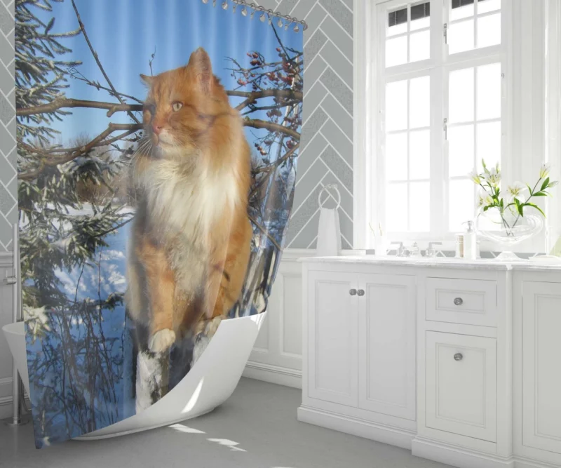 Whisker Wonder Curious Cat Gaze Shower Curtain 1