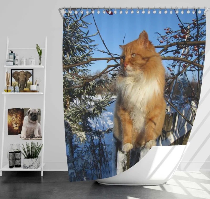 Whisker Wonder Curious Cat Gaze Shower Curtain