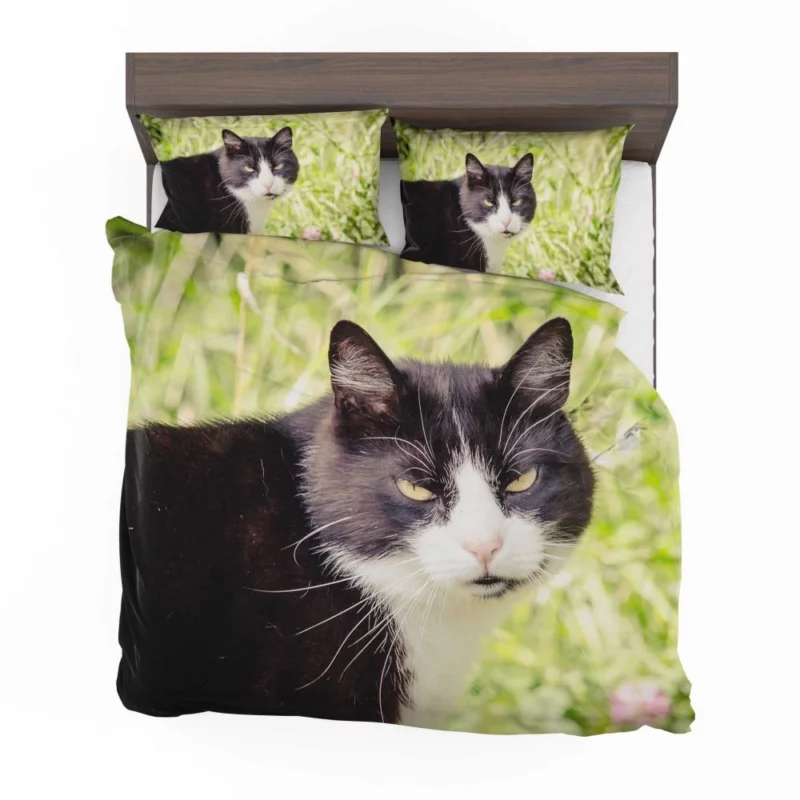 Whisker Wonders Curious Cat Playfulness Bedding Set 1