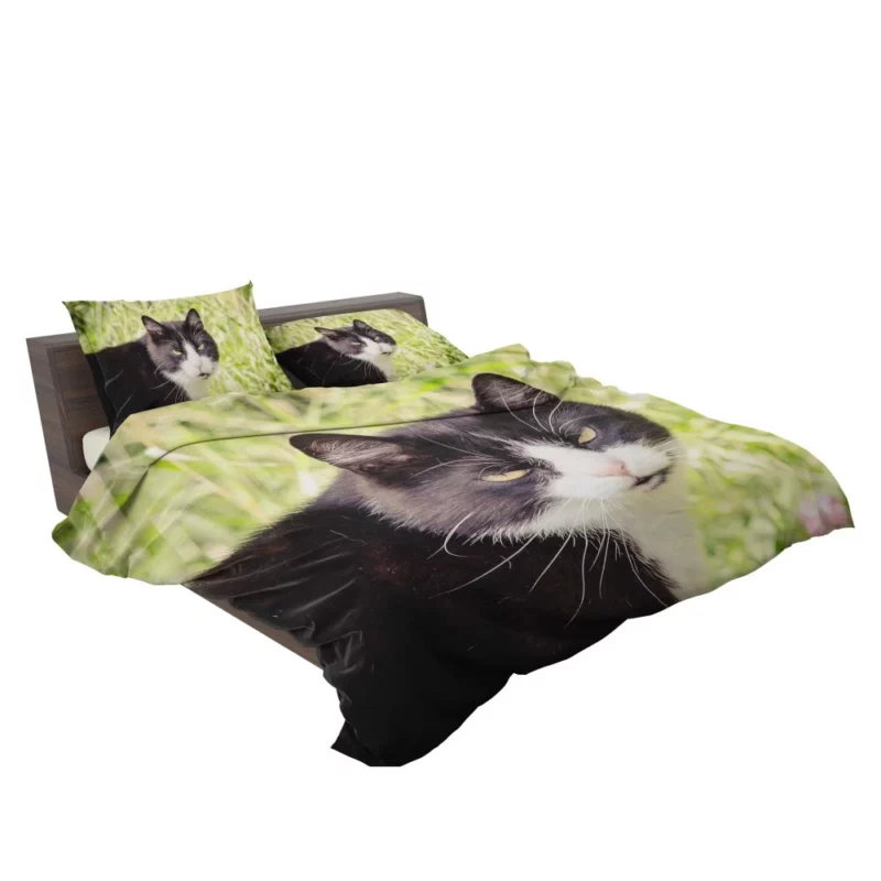 Whisker Wonders Curious Cat Playfulness Bedding Set 2