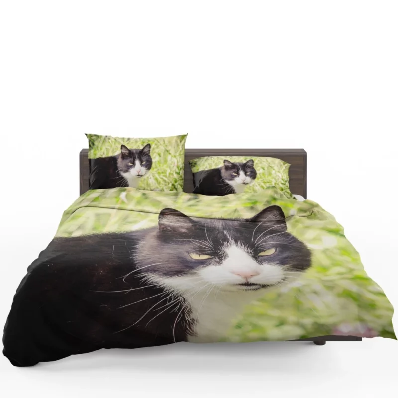 Whisker Wonders Curious Cat Playfulness Bedding Set