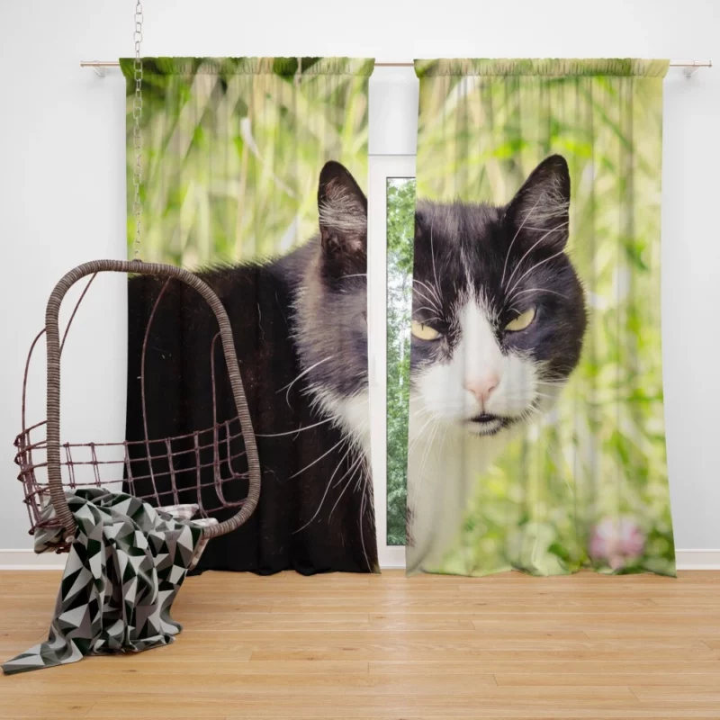 Whisker Wonders Curious Cat Playfulness Curtain