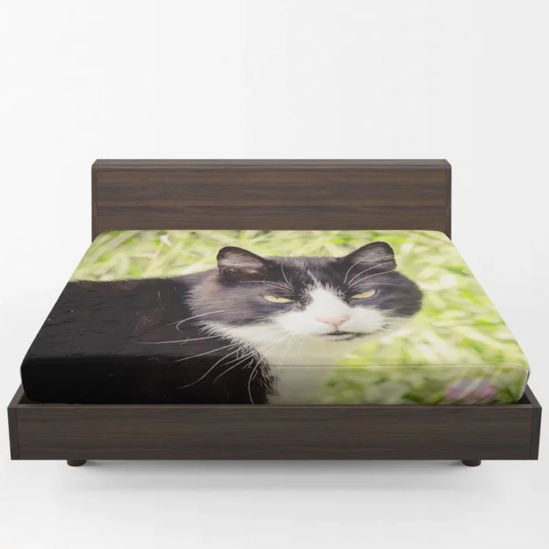 Whisker Wonders Curious Cat Playfulness Fitted Sheet