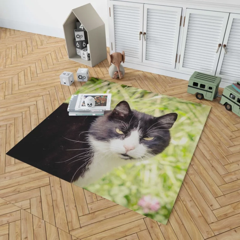 Whisker Wonders Curious Cat Playfulness Rug 1