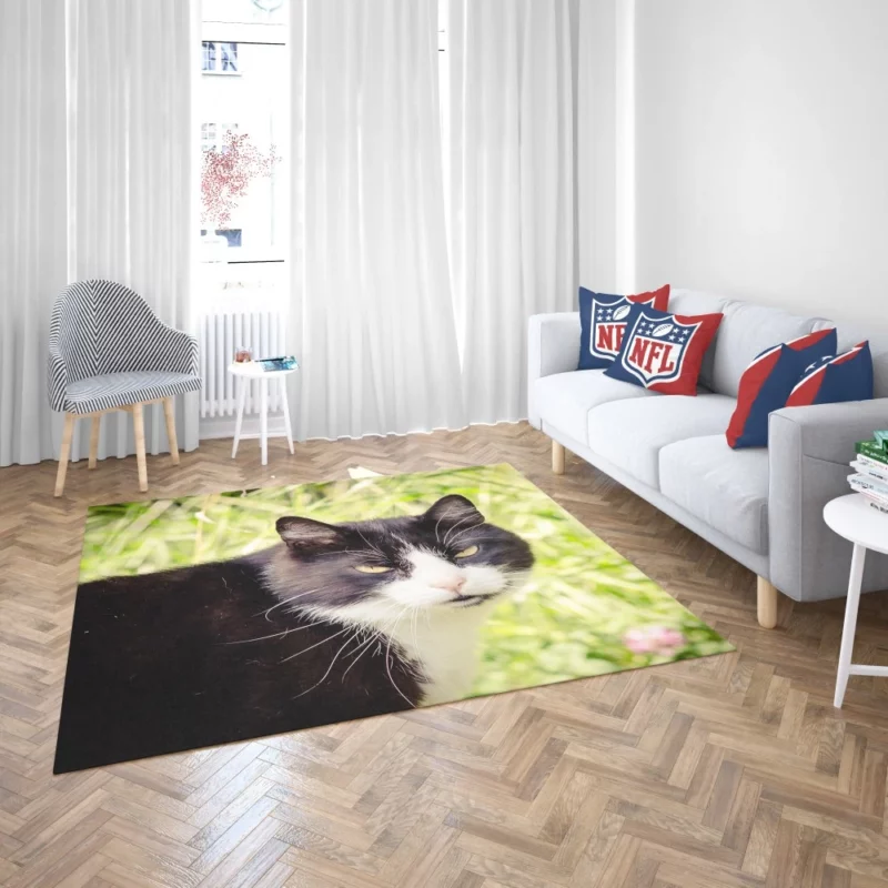 Whisker Wonders Curious Cat Playfulness Rug 2