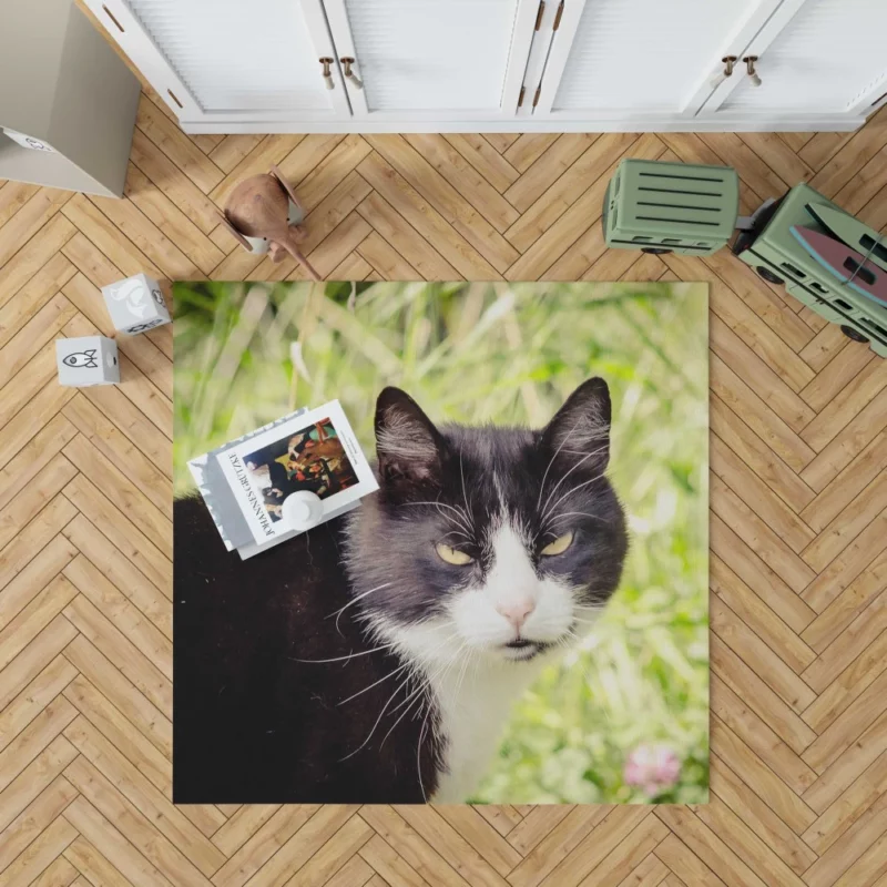 Whisker Wonders Curious Cat Playfulness Rug