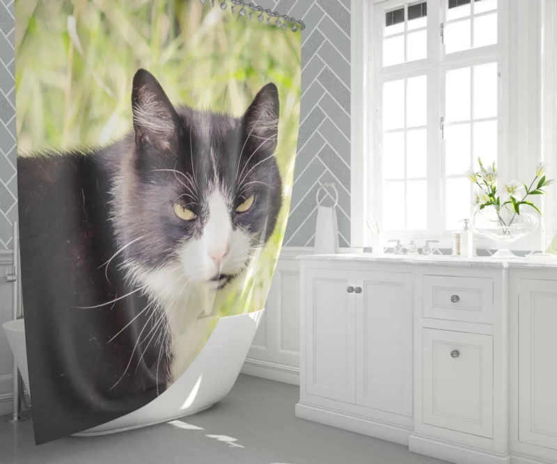 Whisker Wonders Curious Cat Playfulness Shower Curtain 1