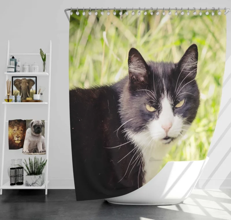 Whisker Wonders Curious Cat Playfulness Shower Curtain