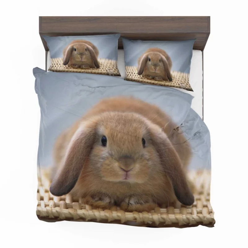 Whisker Wonders Rabbit Innocence Bedding Set 1