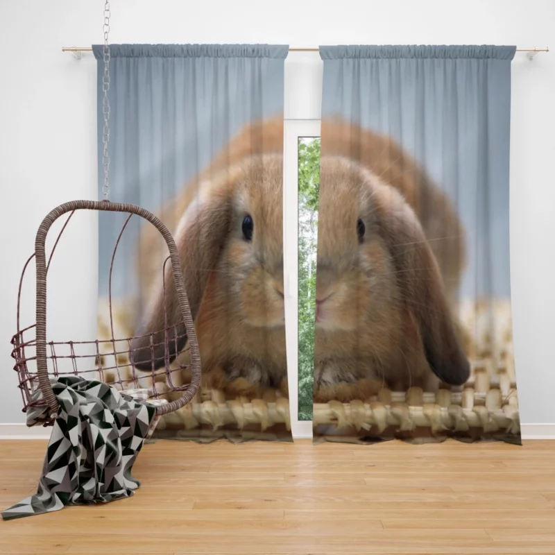 Whisker Wonders Rabbit Innocence Curtain