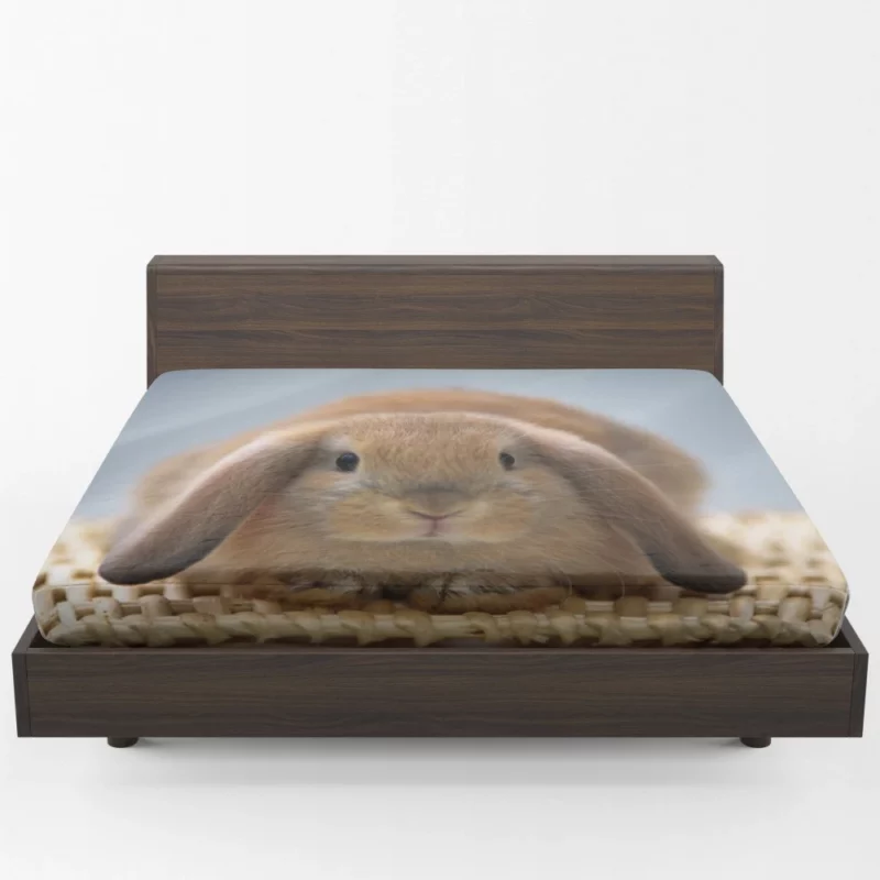 Whisker Wonders Rabbit Innocence Fitted Sheet