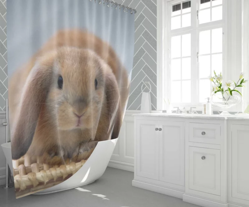 Whisker Wonders Rabbit Innocence Shower Curtain 1